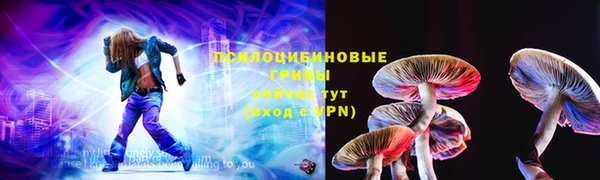 мяу мяу мука Великий Новгород