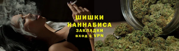 стаф Братск