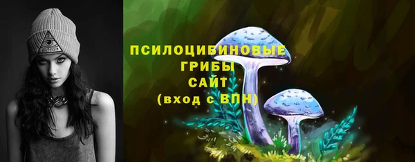 стаф Братск