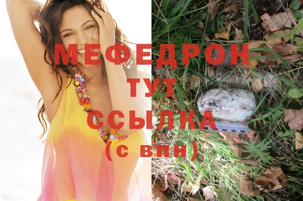 мяу мяу мука Великий Новгород