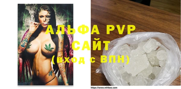 мяу мяу мука Великий Новгород