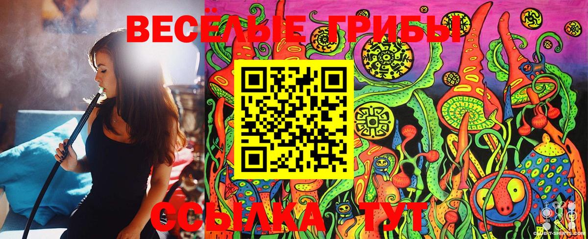 Губкин  Галлюциногенные грибы Psilocybe  Вход с VPN 