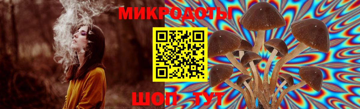 где можно купить наркотик  Губкин  Псилоцибиновые грибы мухоморы  Галлюциногенные грибы Psilocybine cubensis 