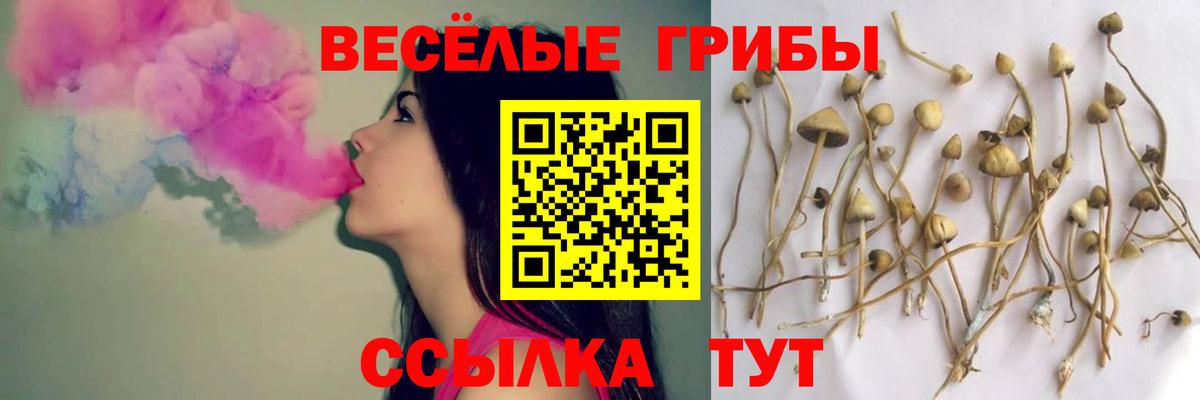 Псилоцибиновые грибы мухоморы Губкин
