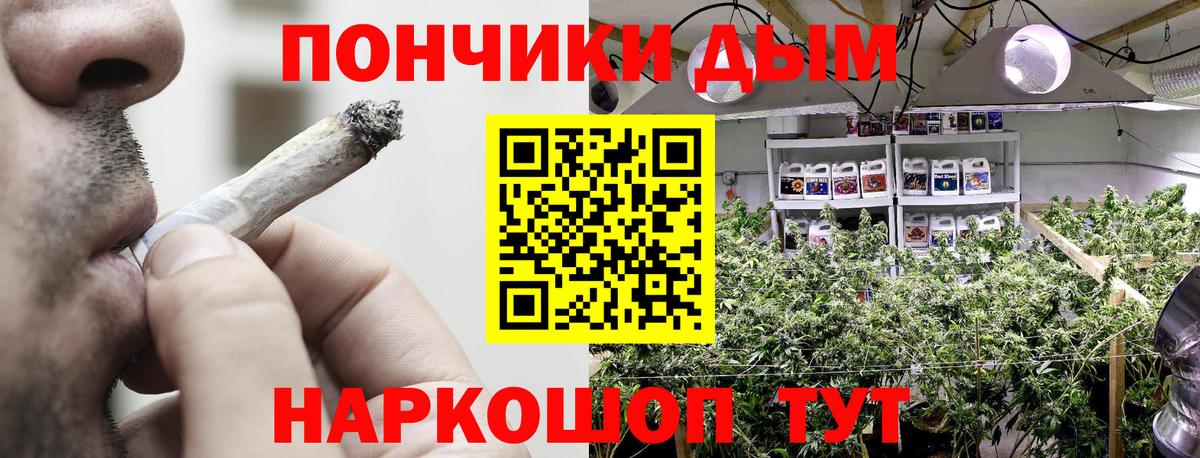 Конопля конопля  Губкин  Конопля White Widow  Бошки марихуана сатива  Шишки марихуана MAZAR 